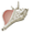 Con Ốc